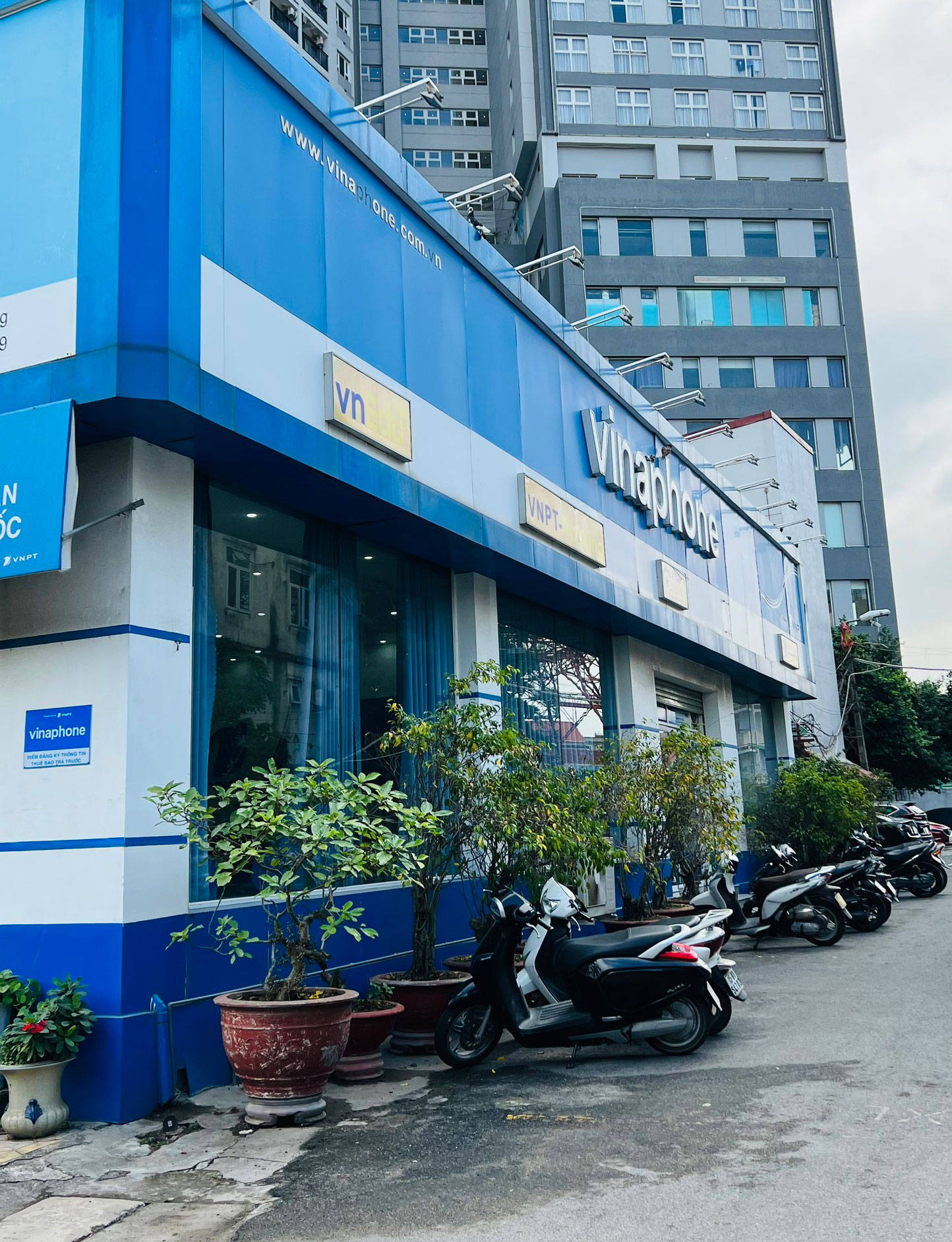 chi nhánh hải phòng