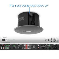bộ loa bose DesignMax DM2C-LP
