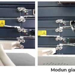 Thiết bị truyền dẫn quang Ribbon NPT 1020