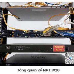 Thiết bị truyền dẫn quang Ribbon NPT 1020