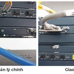 Thiết bị truyền dẫn quang Ribbon NPT 1020