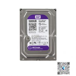 Ổ cứng Western Digital Purple 500GB WD05PURZ- ổ cứng cho đầu ghi camera